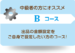 オークション代行-中級者にオススメBコース